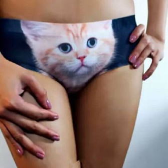 I lost my pussy cat, have you seen it?