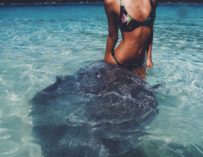 Sexy Nude Jayalvarrez Jayalvarrez In Tahiti Working On Topless