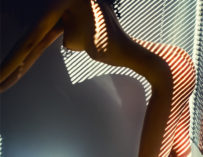 Sexy Thehornygentleman Sexy Tits